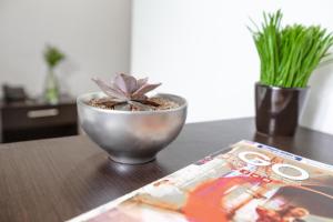 Hotel Casa Quinta Embajada