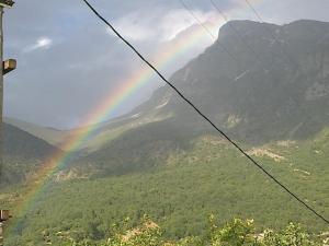 Lakis Rooms Zagori Greece