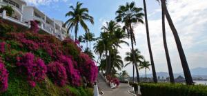 Rento departamento frente a la playa