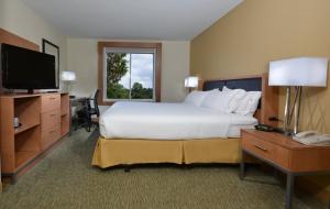 King Room - Non-Smoking room in Holiday Inn Express Hotel & Suites High Point South an IHG Hotel