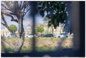 Apartamento Los Padrinos