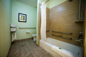 King suite with Bath Tub - hearing Accessible/Non-Smoking room in Holiday Inn Express Hotel & Suites Atlanta East - Lithonia an IHG Hotel