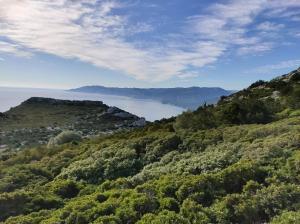 Purple Flower Suite Apartment img24