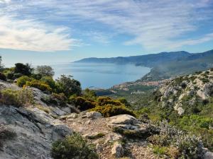 Purple Flower Suite Apartment img30