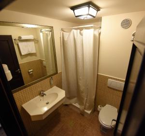 Classic Single Room room in Hotel Gradina Morii