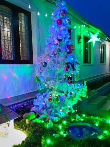 Marari Mourin Homestay