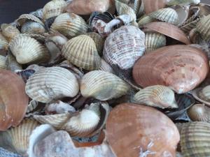 Grand Seaview Apartments