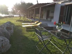 Marathi Blue - 马拉希