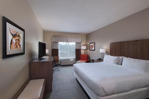 Leisure King Room - Non-Smoking room in Holiday Inn Express & Suites Austin NW - Four Points an IHG Hotel