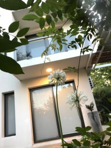 BOULEVARD departamentos