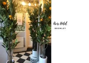 艾维斯酒店 - 布罗姆利