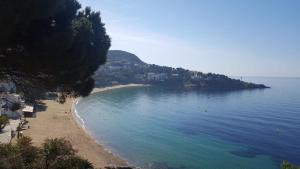 1160 Casa Concordia - Apivend Immo