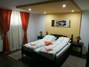 Apartement COSY apartment near center of Novi Sad - ANASTASIJA Petrovaradin Serbia