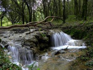 Panorama Penthouse con giardino privato img25