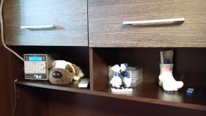 Small and cozy studio apartment