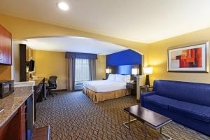 Executive Suite with One King Bed room in Holiday Inn Express Hotel & Suites Houston-Downtown Convention Center an IHG Hotel