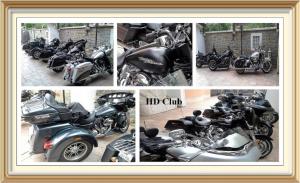 Apartments Villa Marittima