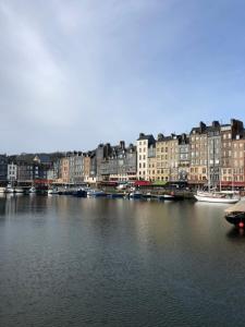 Appartements Les jardins d Honfleur et sa terrasse privative : photos des chambres