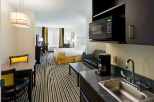 King Suite with Sofa Bed - Non-Smoking room in Holiday Inn Express and Suites Batavia, an IHG Hotel