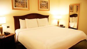 Hotel Las Palmas Inn