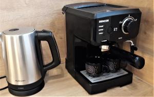 Amazing Family Apartment Bad Mitterndorf - visit Hallstatt, ski in Tauplitz