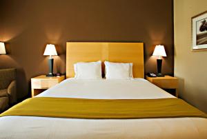 King Suite room in Holiday Inn Express Hotel and Suites Borger an IHG Hotel
