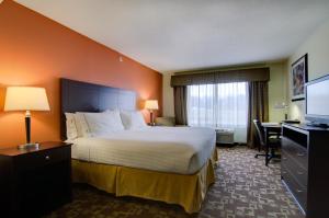 Standard  Room room in Holiday Inn Express Hotel & Suites Kansas City Sports Complex an IHG Hotel