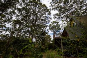 Green Leaves Cabin