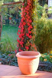 ambiente solutions apartments