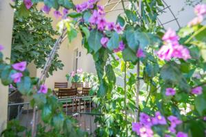 Apartman Asja