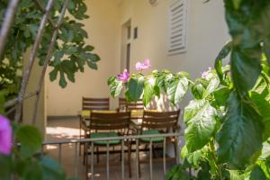 Apartman Asja
