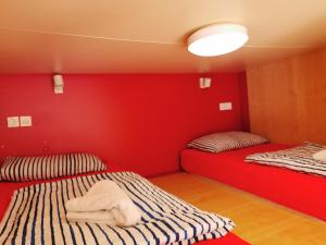 Cube studio by the river (with free bike rental)