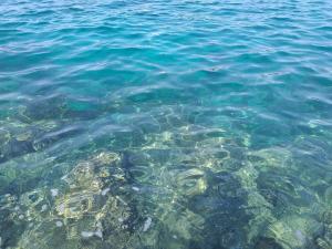 Levak Apartments - Apt. 1