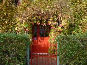 Appartements Cottage du Chateau classe du tourisme 2 etoiles : photos des chambres