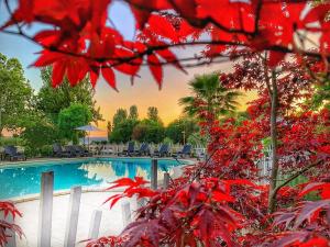 Bungalov International Glamping Lago Di Bracciano Trevignano Romano Taliansko