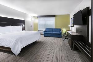 King Suite - Non-Smoking room in Holiday Inn Express & Suites- Sugar Land SE - Missouri City an IHG Hotel