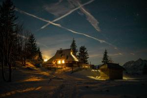 Chalet Tisa Velika Planina 