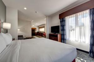 Executive King Suite room in Holiday Inn Express and Suites Oklahoma City North an IHG Hotel