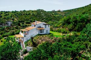 Villa Von Sophia / THE HOUSE Evia Greece