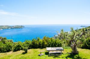 Villa Von Sophia THE HOUSE