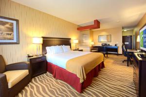 King Executive Room room in Holiday Inn Express & Suites Cotulla an IHG Hotel