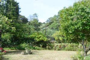 Samri Holiday Bunglow