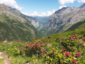 Chalet uf em Stutz 2