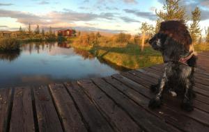 Fögruvallakot Cabin