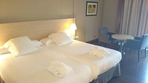 Hotel Spa Attica21 Vilalba