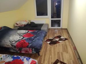 Apartament u Wioli