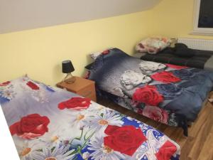 Apartament u Wioli