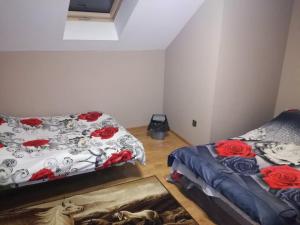 Apartament u Wioli