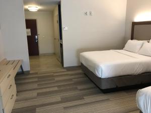 Queen Room with Two Queen Beds - Disability Access/Non-Smoking room in Holiday Inn Express Orlando - South Davenport an IHG Hotel