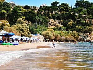 Alex - Nancy Apartments - Zaga Beach Messinia Greece